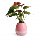 Flowe Power Speaker